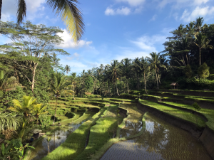 Bali-Tipps-5-Tage