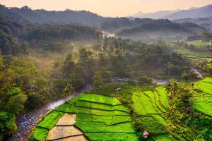 Englisch in Indonesien sprechen