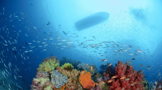 Tauchen in Alor: Das unentdeckte Tauchparadies Indonesiens