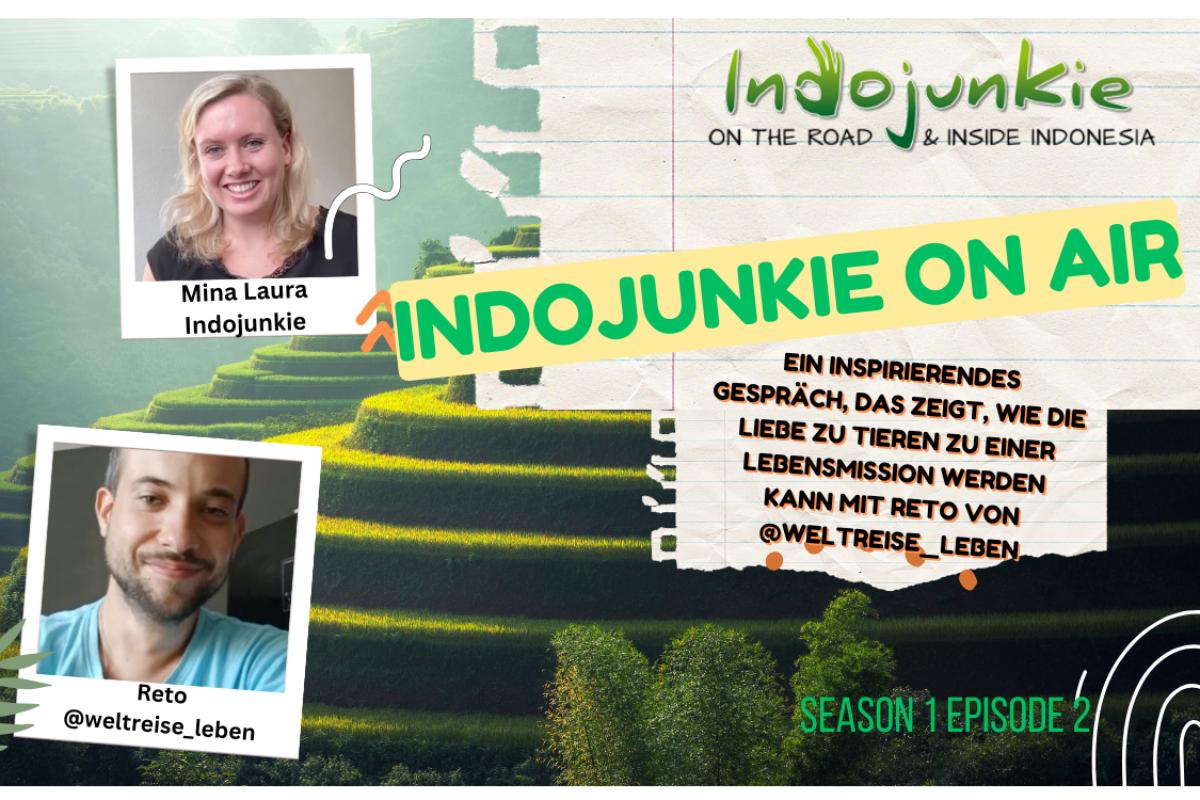 Retos unglaubliche Reise: Von Bali bis Portugal mit einem Straßenhund