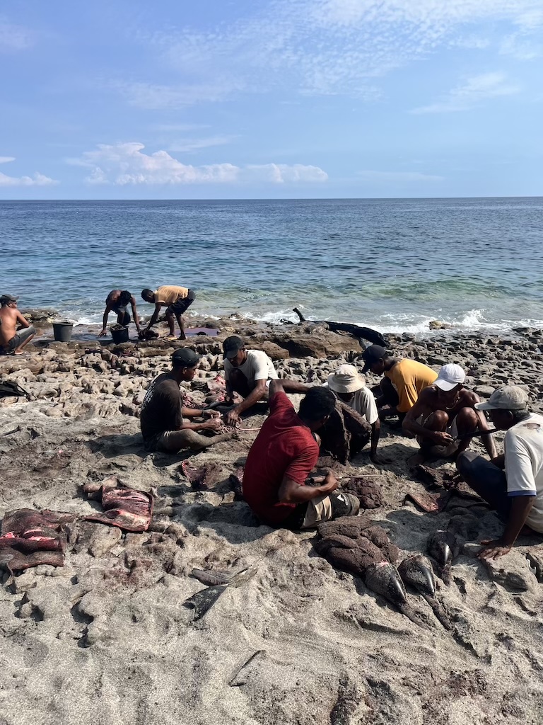 Lamalera-indonesien-Delfine
