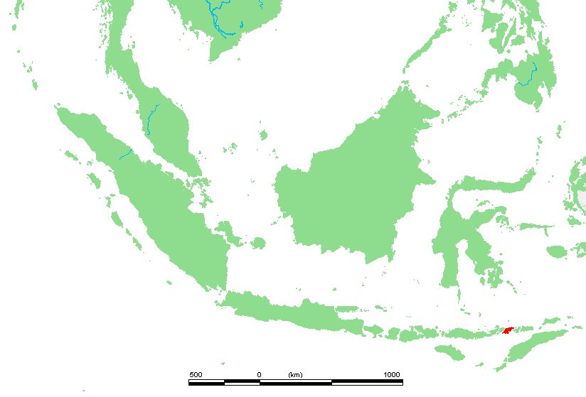 Lamalera-indonesien