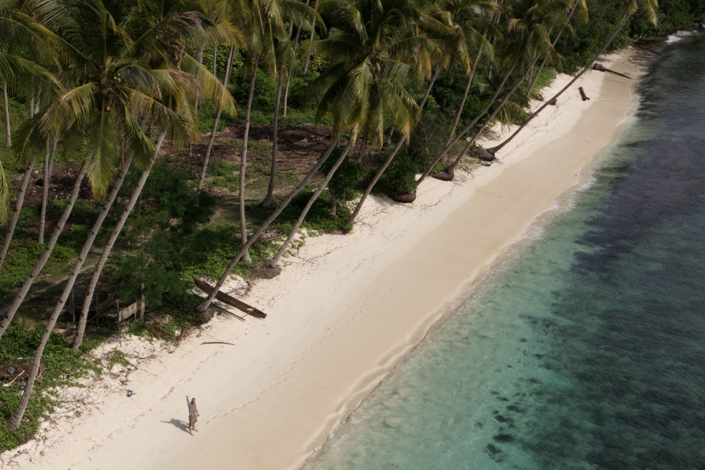 Luftaufnahme - Langer Sandstrand mit Palmen die über den Strand ragen, eine Person winkt