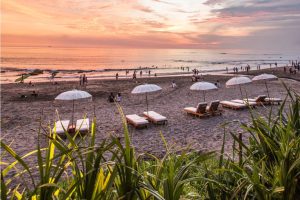 Unverzichtbare Online-Tools für einen Besuch auf Bali