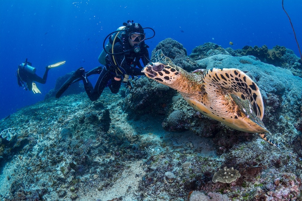 Pemuteran-Bali-Tauchen-1