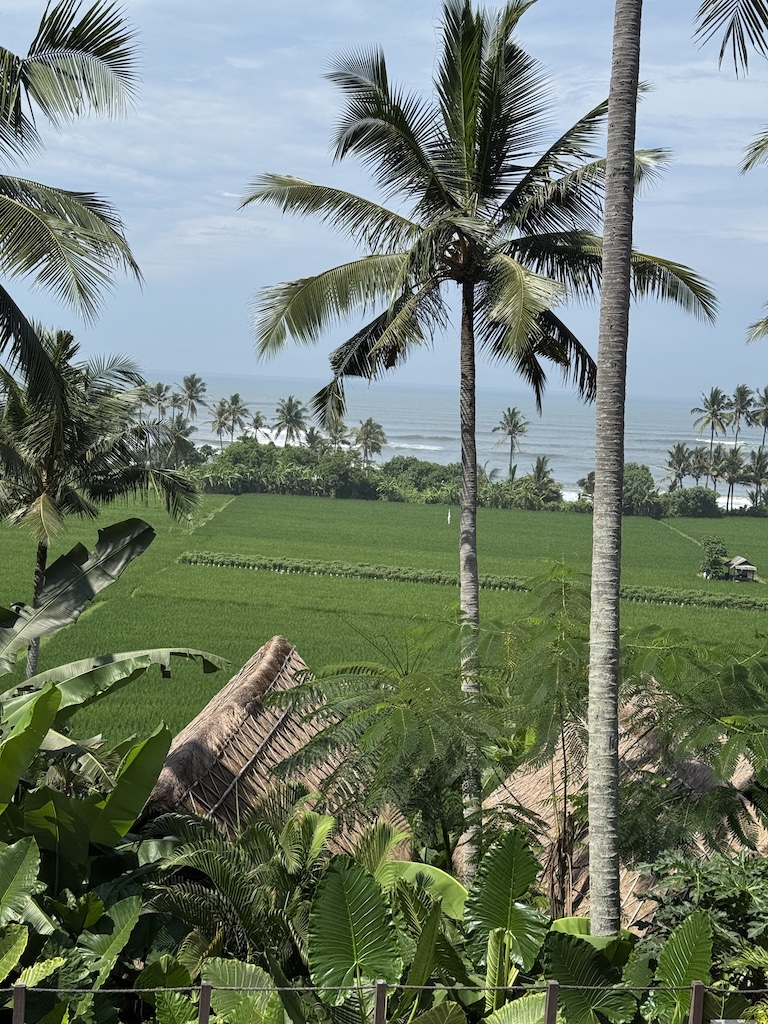 Supersenang-Ausblick-Pantai-Mejan-Balian