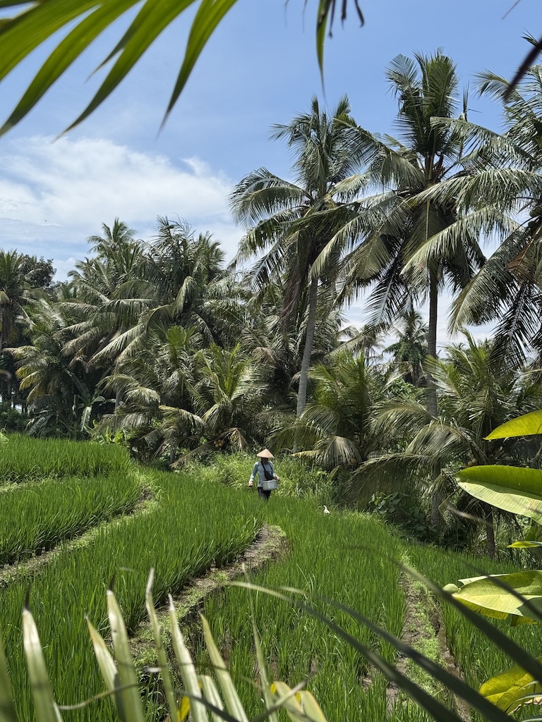 Supersenang-Umgebung-Balian