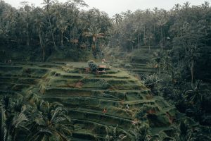 10 Tipps für die Reise nach Bali – Spaß haben und sicher bleiben