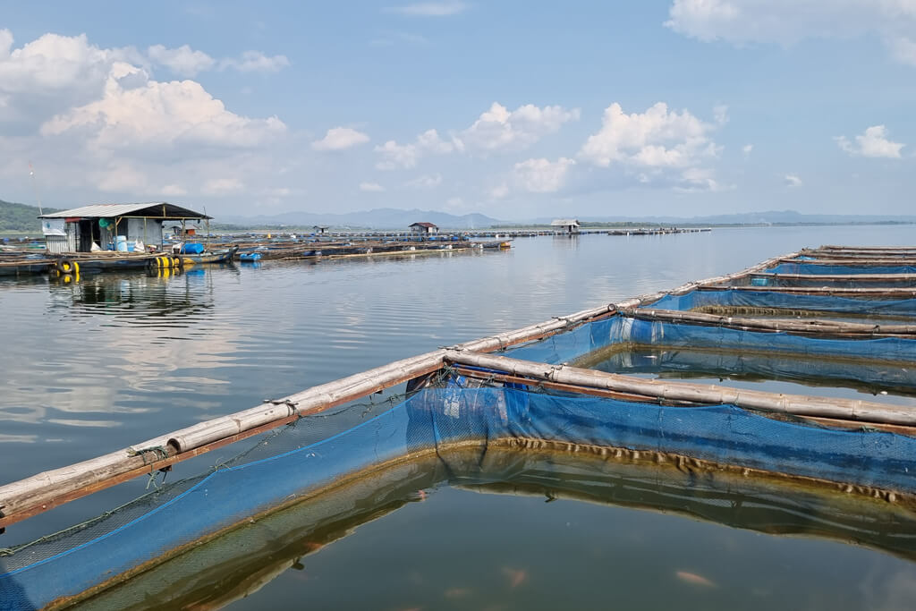 Fischfarm am Gajah-Mungkur-Stausee 