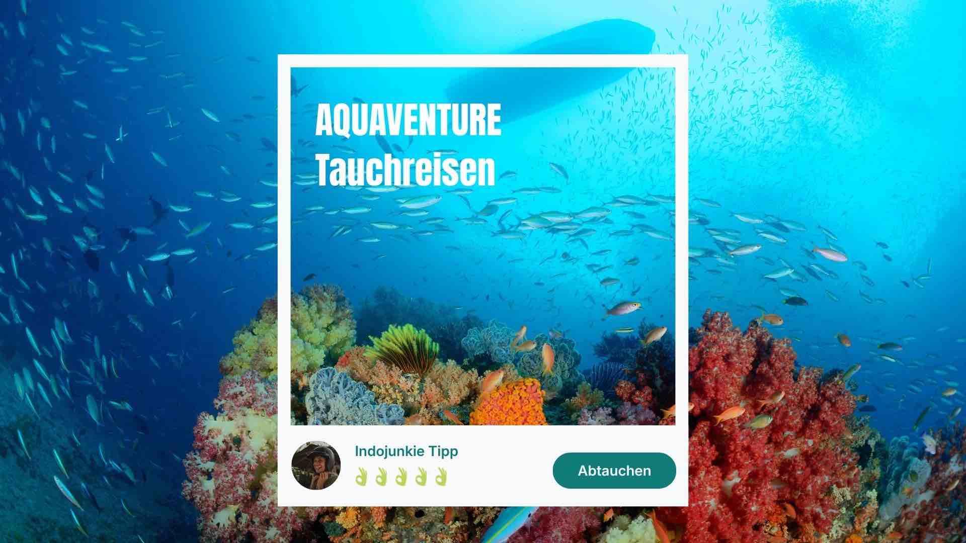 aquaventure tauchreisen indonesien