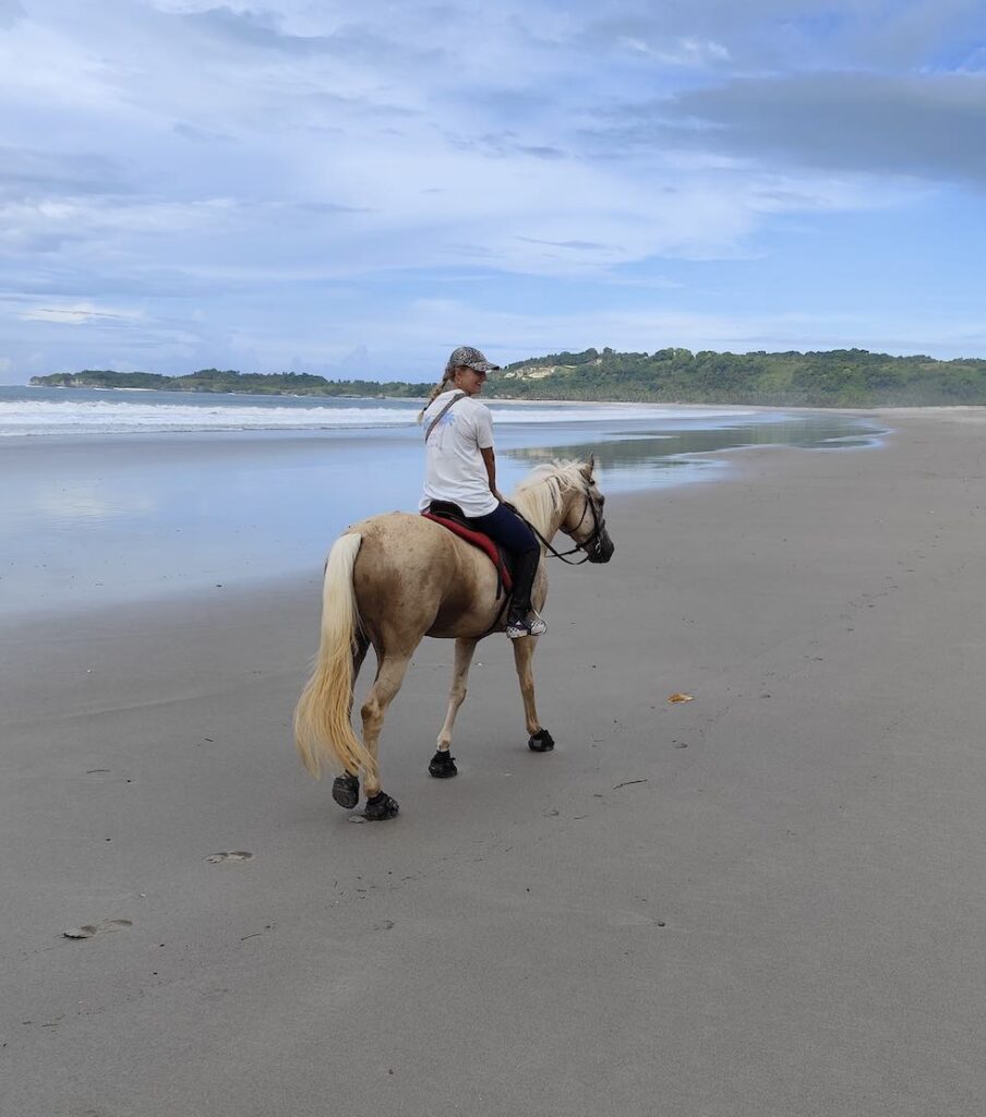 ausritt mit pferd am strand in sumba