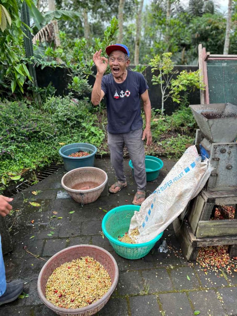 bali-kaffeeplantage-bauer-verarbeitet-frische-kaffebohnen
