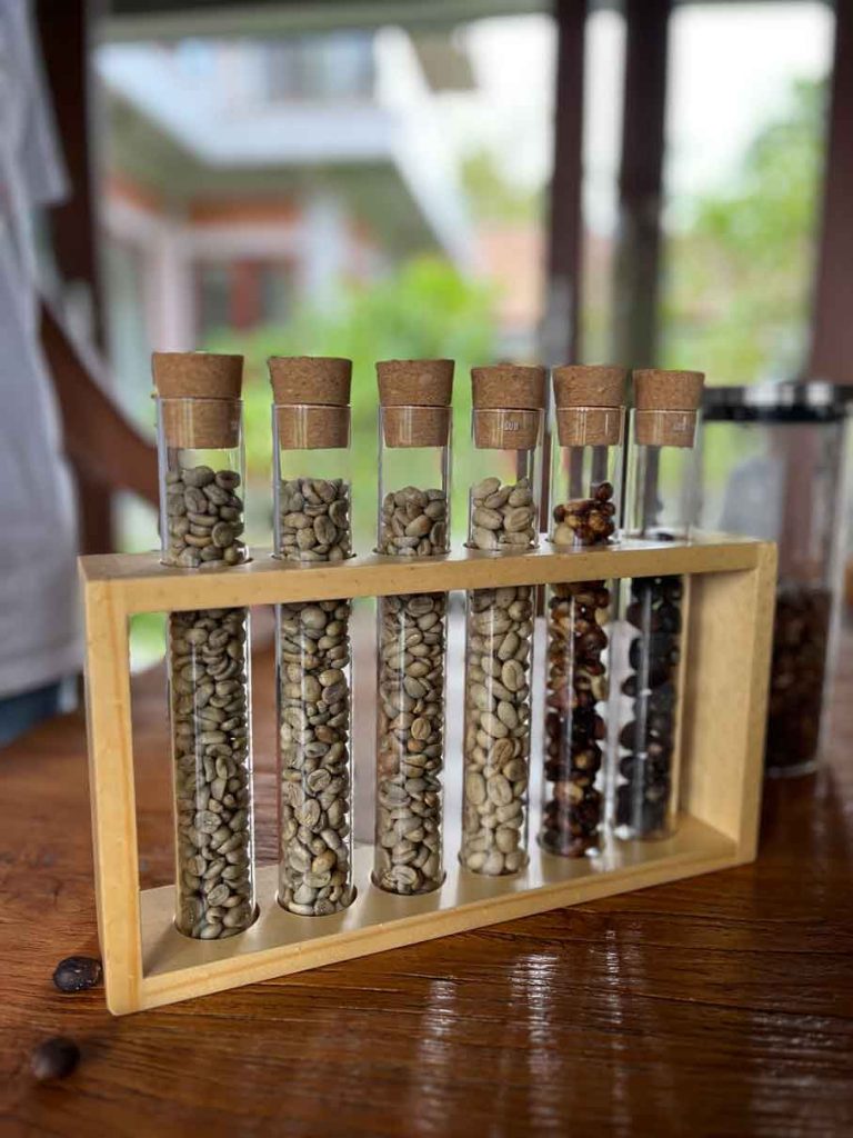 bali-kaffeeplantage-geroestete-kaffeebohnen