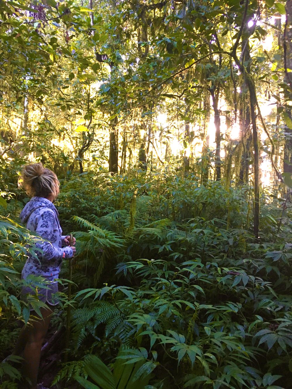 Bedugul und das „new normal“ in Bali