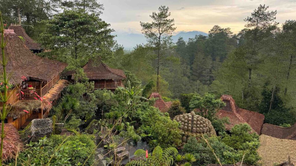 hoteltipp kintamani resort ausblick auf pinienwald und batukaru gebirge
