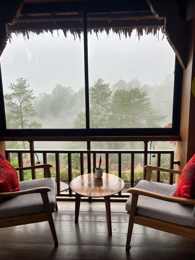 hoteltipp kintamani tira vilagna resort ausblick pinienwald von bar aus