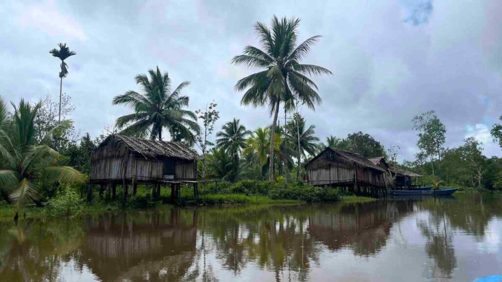 holzhuetten der indigenen asmat in papua am fluss