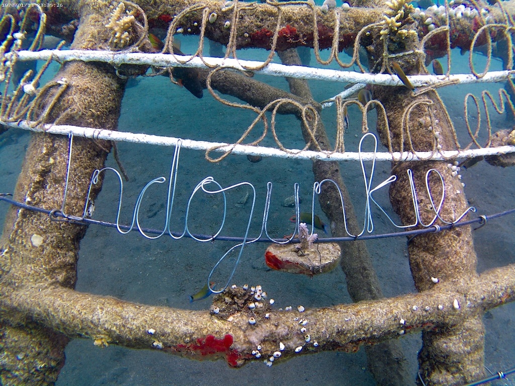 indojunkie-riff-projekt-pemuteran