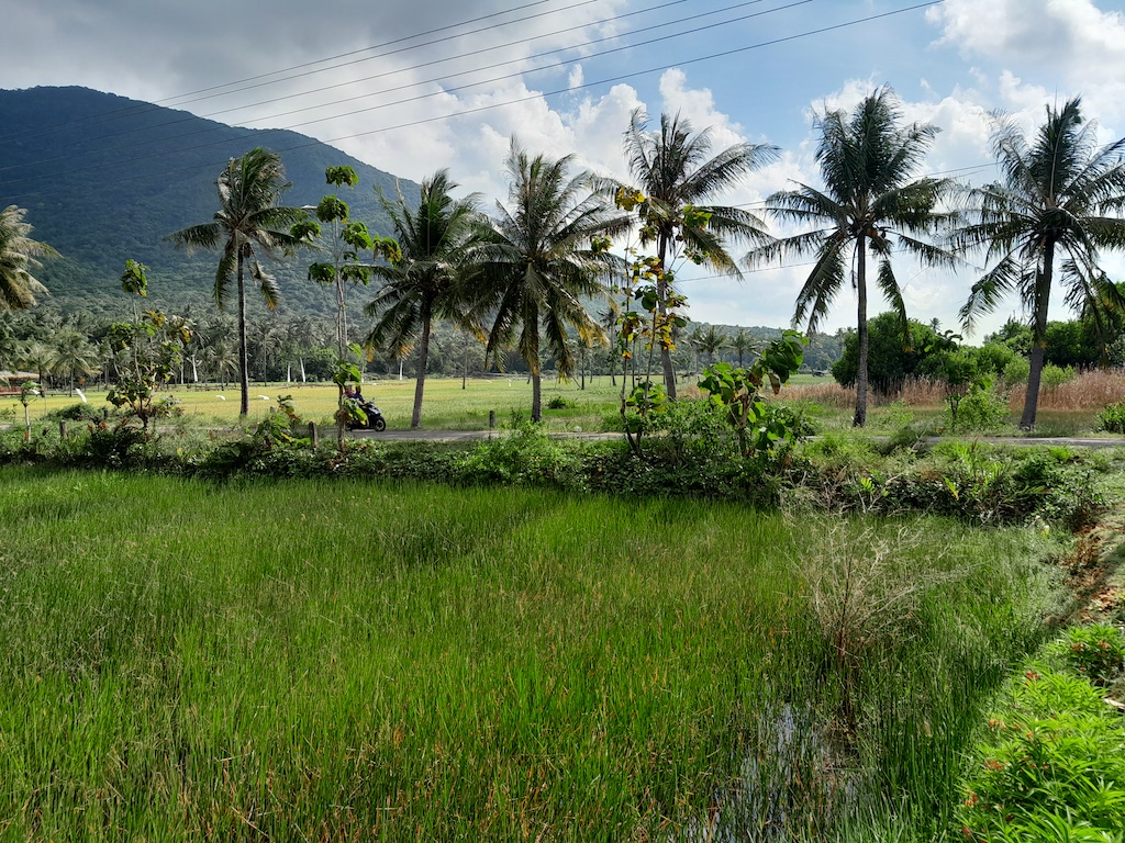 karimunjawa-nationalpark-7