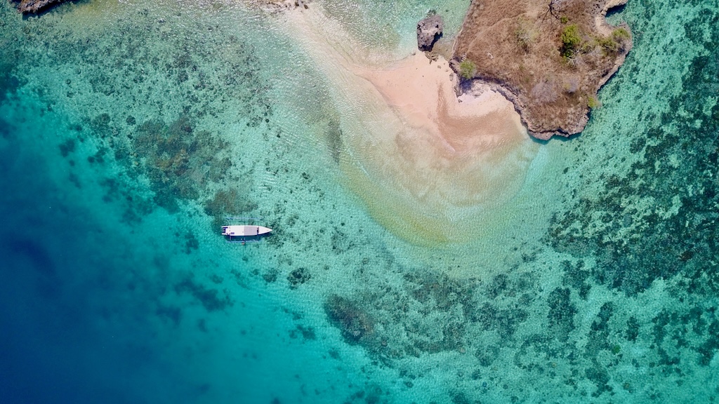 blue-marlin-pink-beach