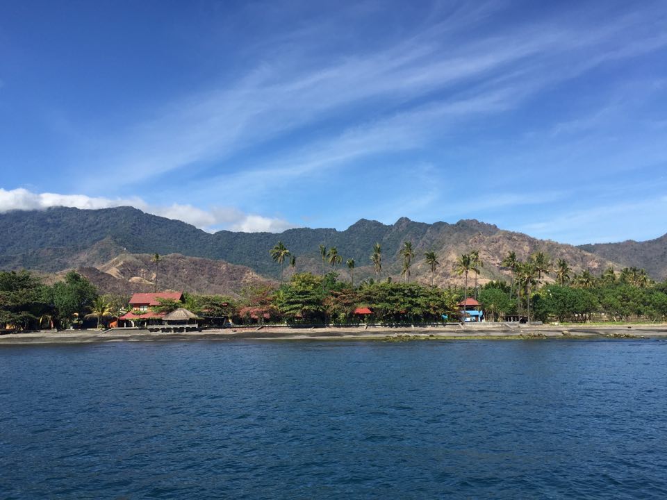 pemuteran-bali-tipps-1