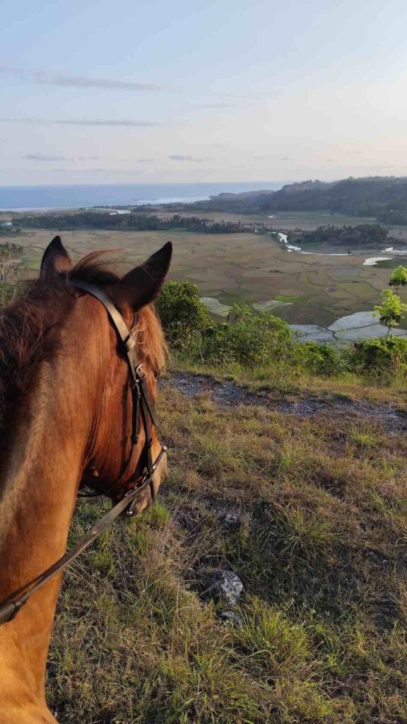 ausritt auf pferd mit blick auf huegellandschaft von sumba