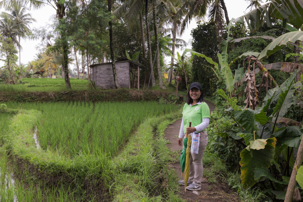 regenzeit-bali-regenschirm