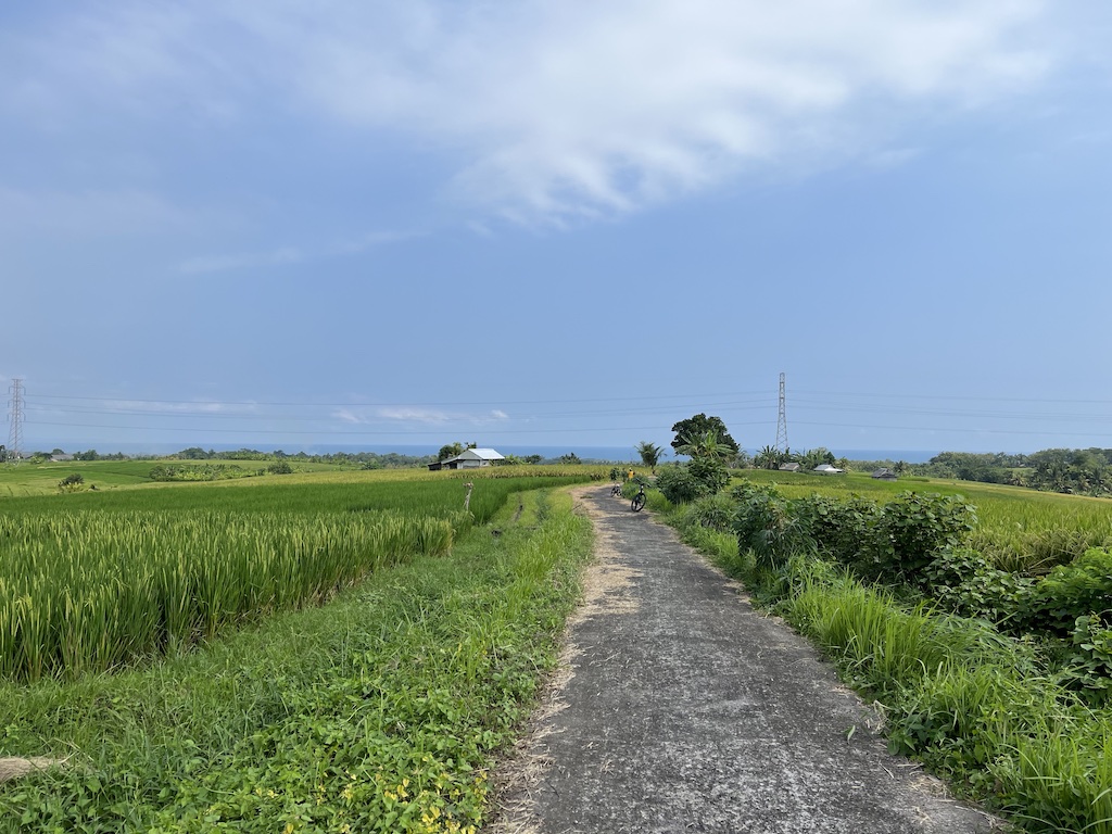 reisfeld weg nach balian