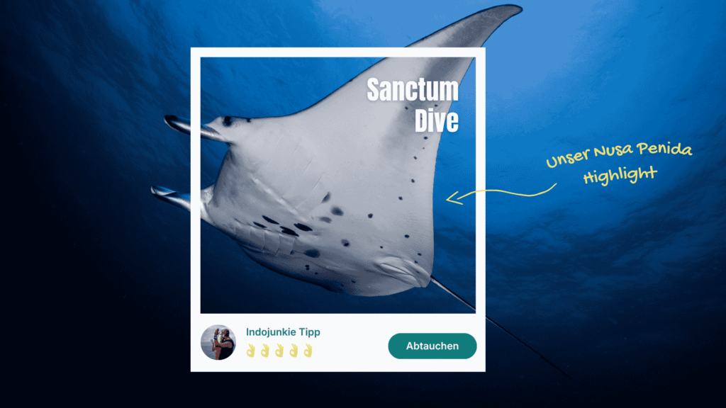 mantarochen mit empfehlung für tauschule sanctum dive nusa penida