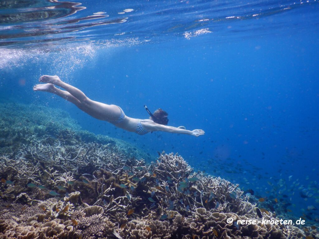 Schnorcheln Ost-Lombok