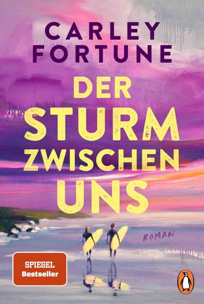 Sommerromane Buchcover der Sturm zwischen uns