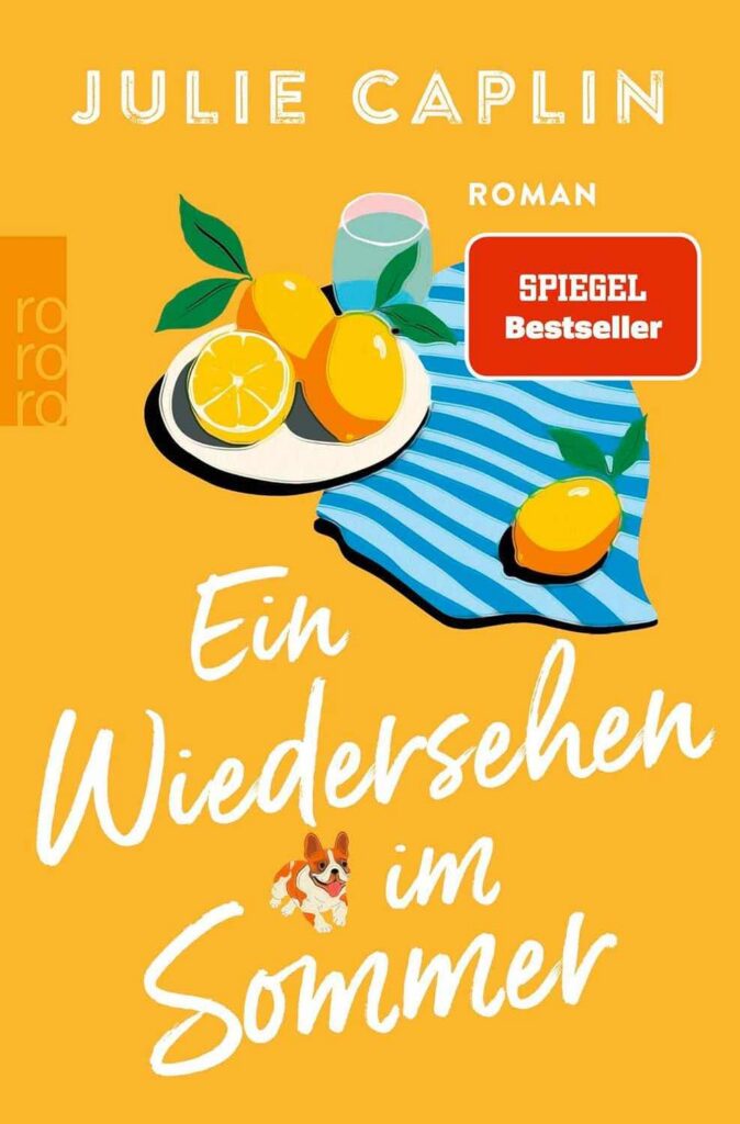 Sommerroman Buchcover ein Wiedersehen im Sommer Buchcover
