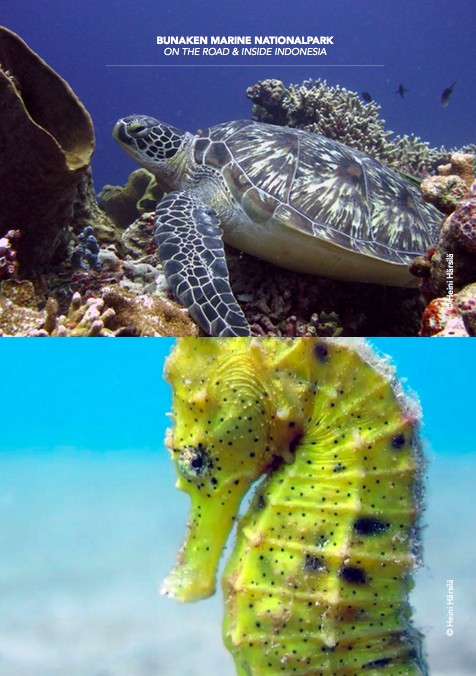 Sulawesi – On The Road and Inside Indonesia (E-Book) – Bild 7