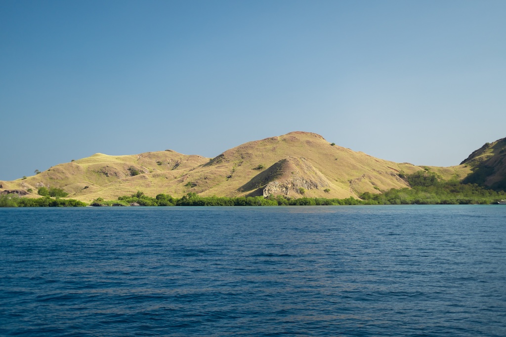 tauchen-komodo-nationalpark-neren-3