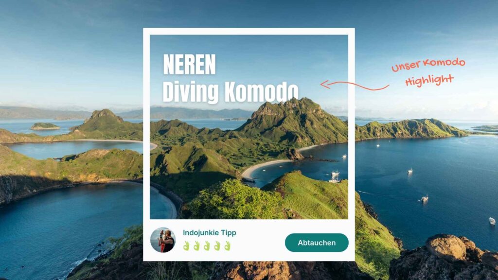 empfehlung tauchschule neren diving komodi in labuan bajo