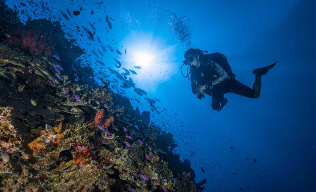 taucherin vor koralle mit vielen bunten meeresbewohnern vor nusa penida