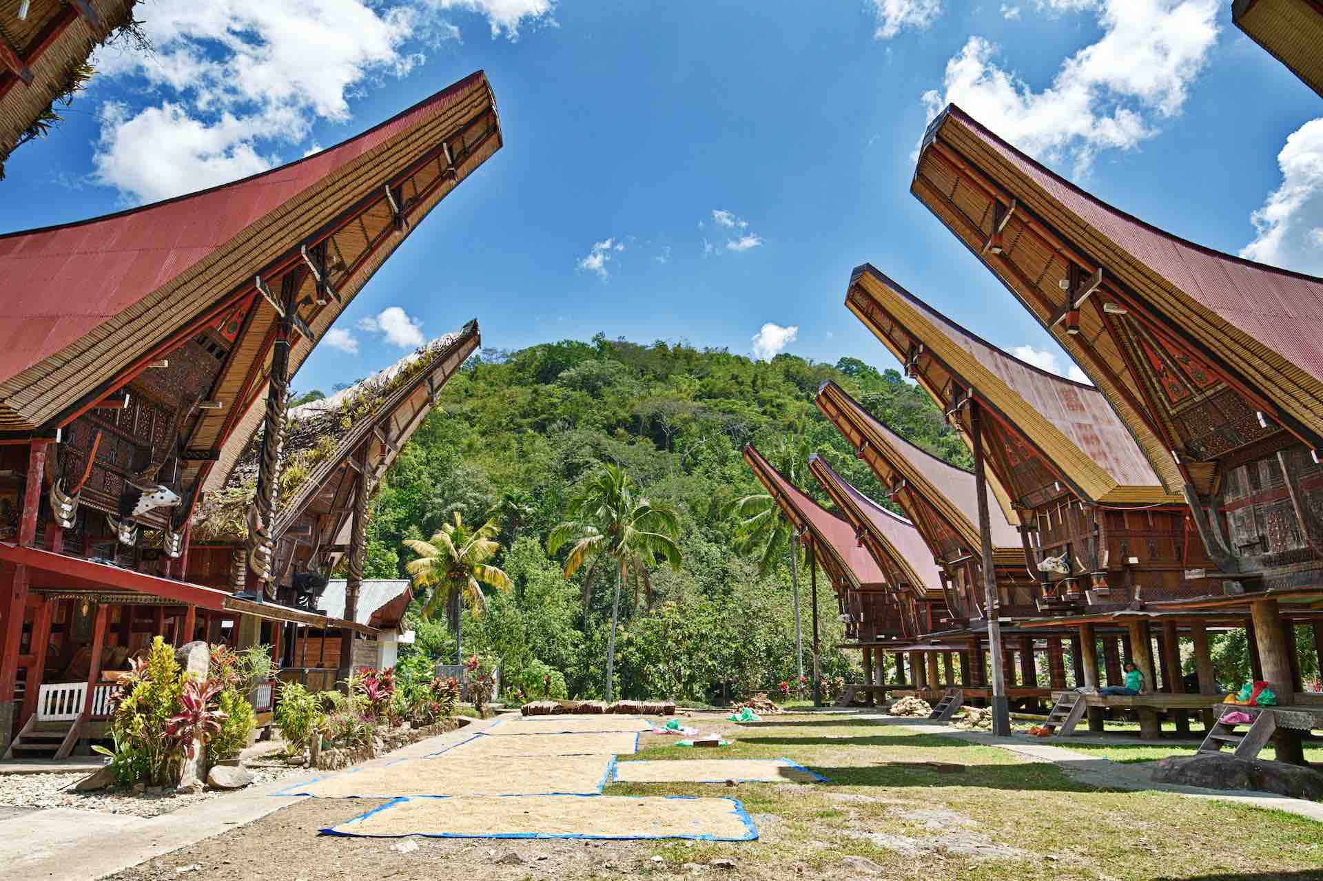 Tongkonan und Alang Reisspeicher in Tana Toraja stehen gegenüber