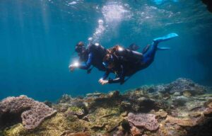 zwei taucher schwimmen ueber korallengarten in lombok