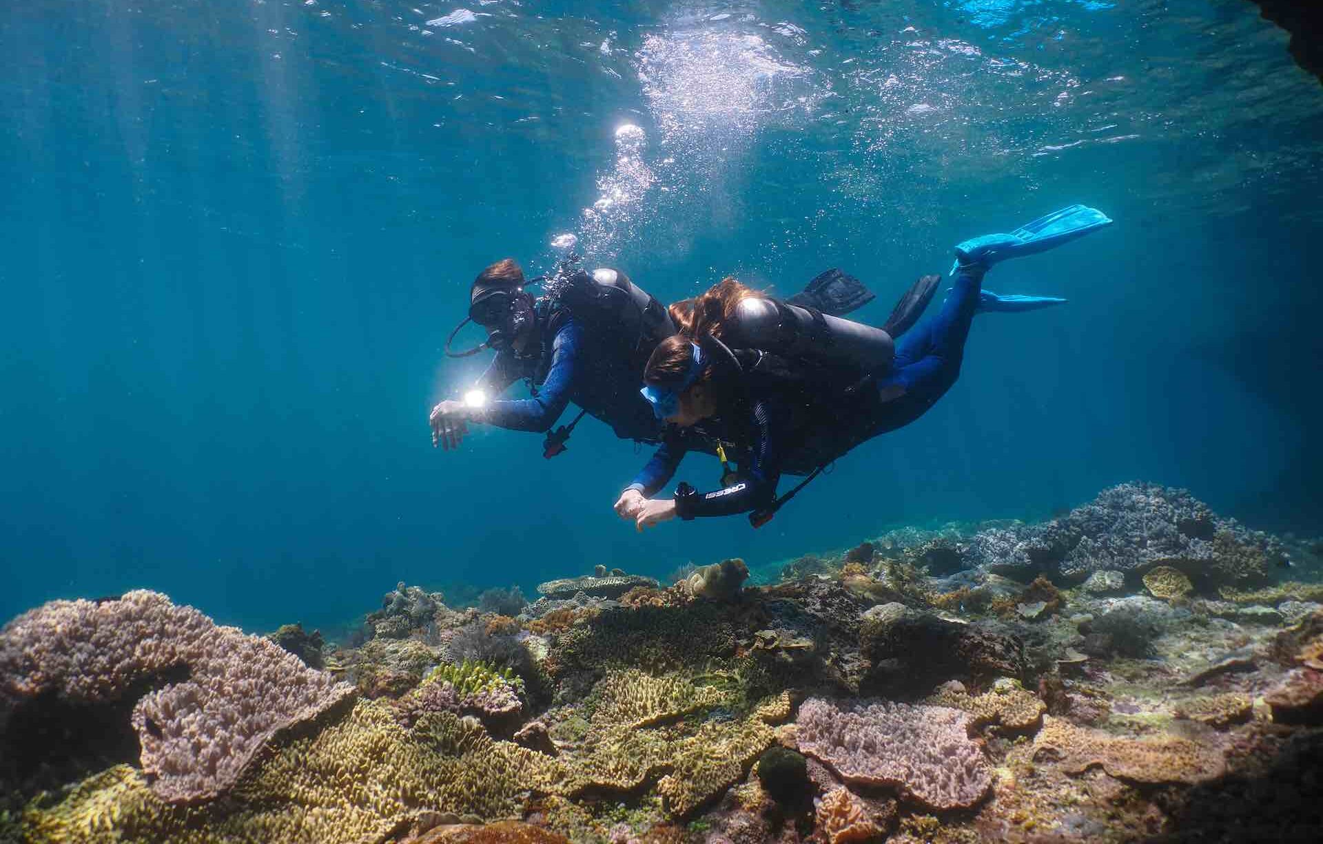 Tauchen auf Lombok: Die schönsten Tauchspots rund um die Insel
